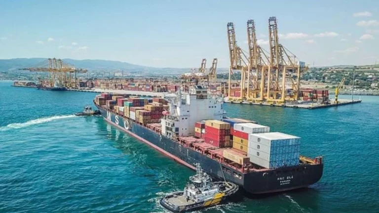 Türkiye, D-8 Ülkeleriyle Ticaret Hedefinde Yeni Formüller Belirliyor