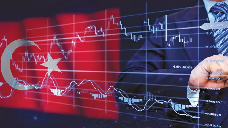 OECD Türkiye Ekonomisti Turban, Türkiye Ekonomisine İlişkin Öngörülerini Değerlendirdi